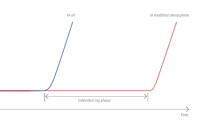 Packaging for meat patties