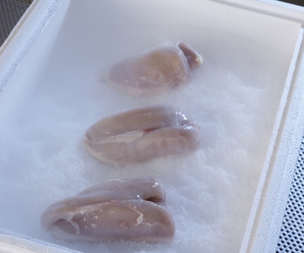 Dry Ice box with meat