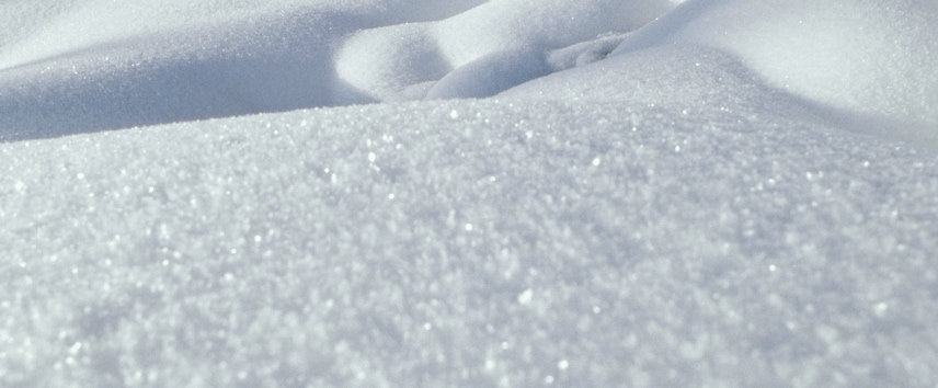 Pretreatment & Finishing